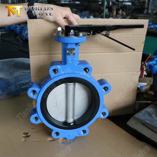 Lug Kelebek Vana – CF8M Disk, EPDM Yatak, Sınıf 150, OEM Üreticisi