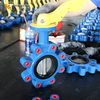Lug Kelebek Vana | CF8M Disk | PN16