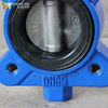 Yarı-Lug Kelebek Vana | WCB Gövdesi, CF8 Disk, Viton Koltuk | Sonsuz Dişli DN150 10K