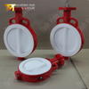 PTFE Wafer Kelebek Vana – PTFE Kapsüllü Disk, Sınıf 150, OEM Üreticisi