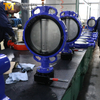 6 İnç Wafer Kelebek Vana – Sınıf 150, CF8M Disk, EPDM Koltuk