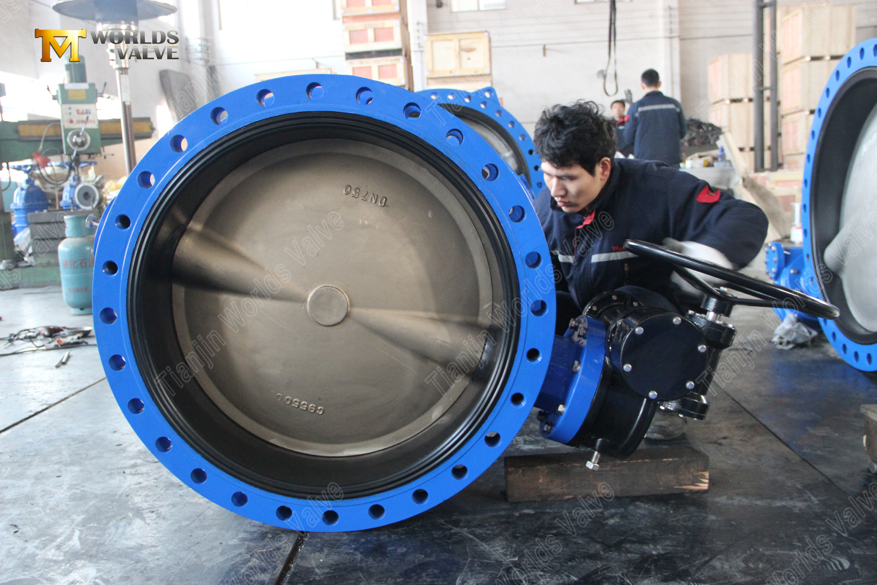 30 U-Tipi Kelebek Vana C95500 Al&uuml;minyum Bronz Disk Deniz suyuna dayanıklı (7).jpg