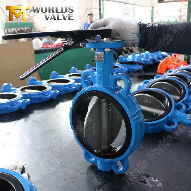 6 İnç Wafer Kelebek Vana – Sınıf 150, CF8M Disk, EPDM Koltuk