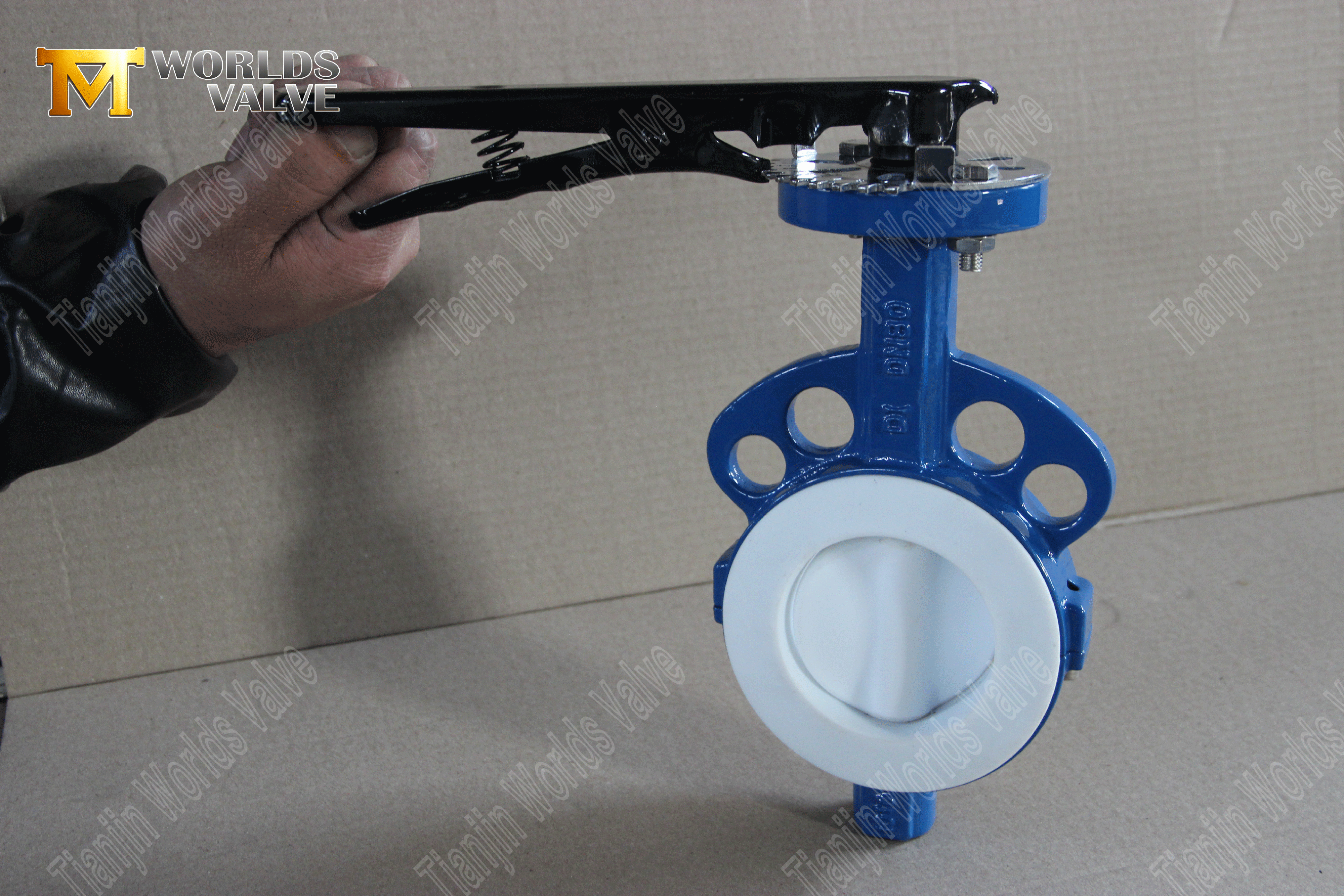 PTFE Wafer Kelebek Vana – PTFE Kaps&uuml;ll&uuml; Disk, Sınıf 150, OEM &Uuml;reticisi (3).png